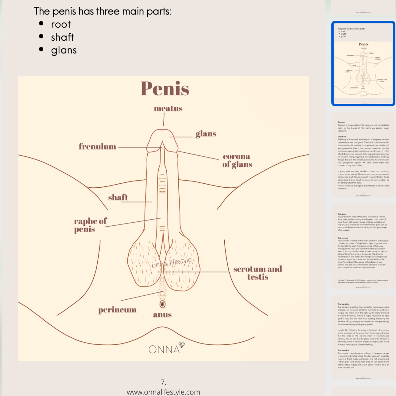 oral sex guide 